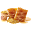 RAW EUCALYPTUS HONEY - Image 4